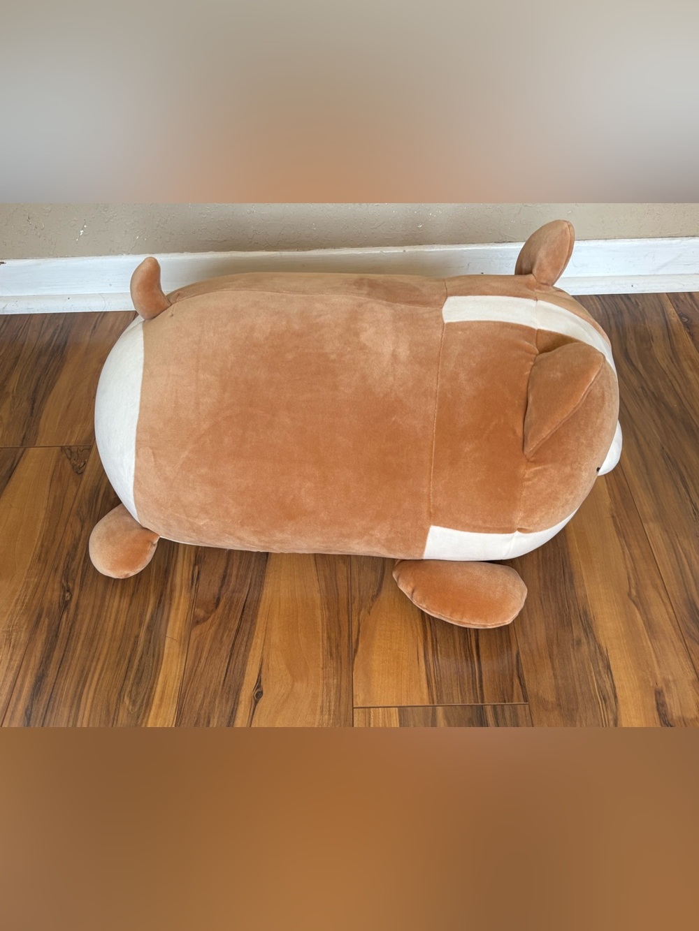 Squishmallow Cute Brown & Cream  Plush Corgi Dog named Regina - Picture 2 of 6